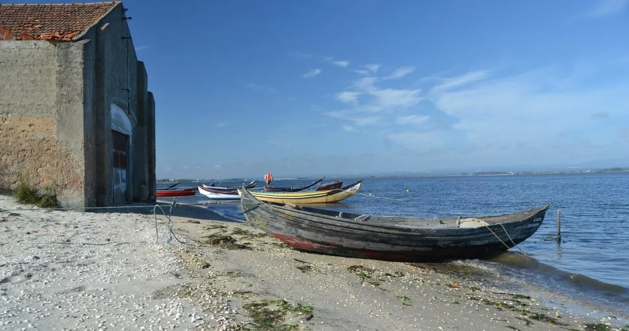 Aveiro Private Tour From Porto