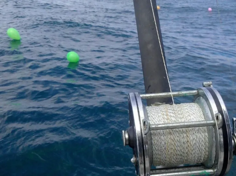 Large fishing reel and line leading into the sea beside a green buoy