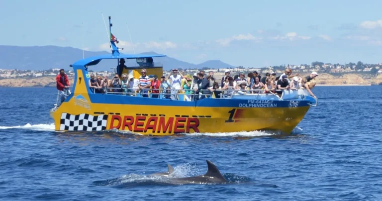 Dreamer - Caves & Dolphin Watching | Bestseller!