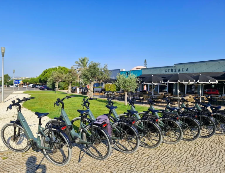 Full day E-Bike Rental