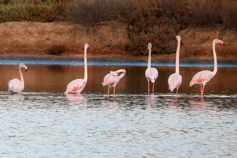 Algarve Seaside Tour - Private