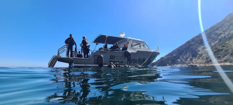 Mergulho | Scuba Diving | Sesimbra