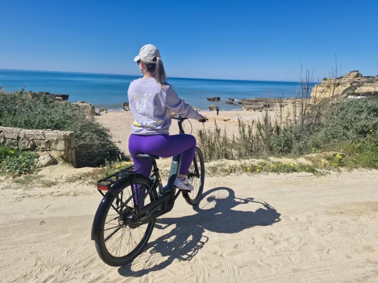 Half day E- Bike Rental