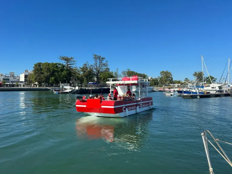 Red-and-white tour boat passing a marina with palm trees