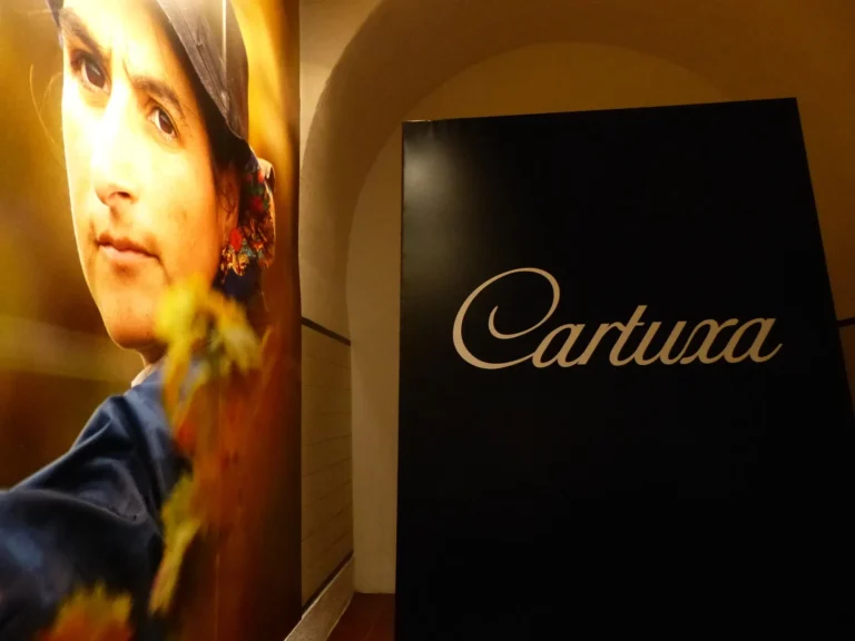 Private Tour to Evora with wine tasting at the Cartuxa Winery
