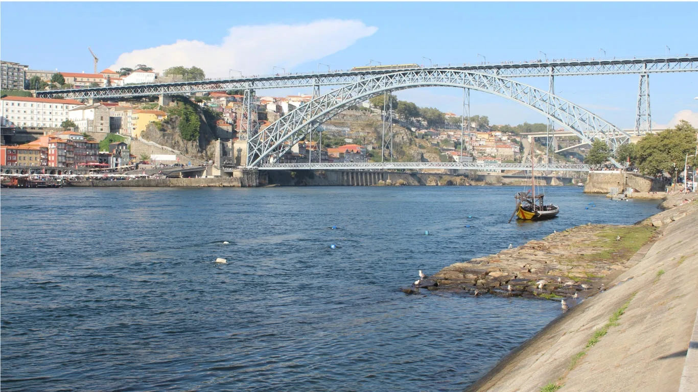 Porto Highlights (Private Walking Tour)