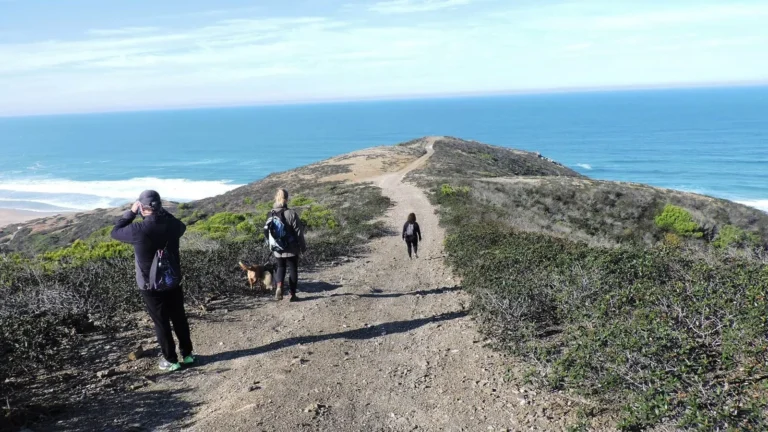 Wild Cliffs of Cordoama