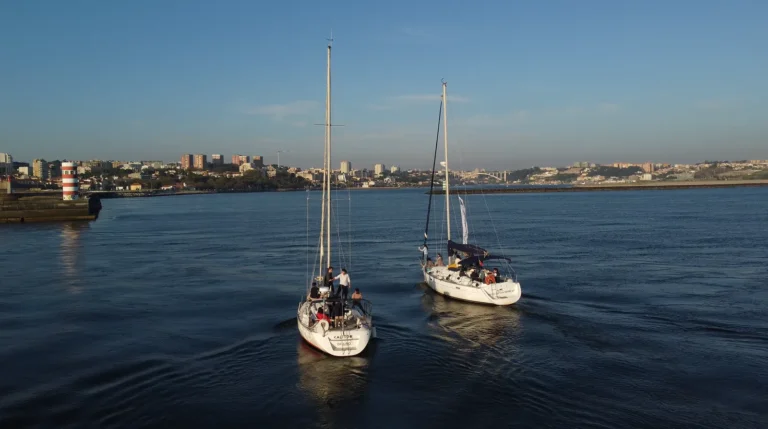Sailing 360 - Double Sailboat 2H - 20 People!