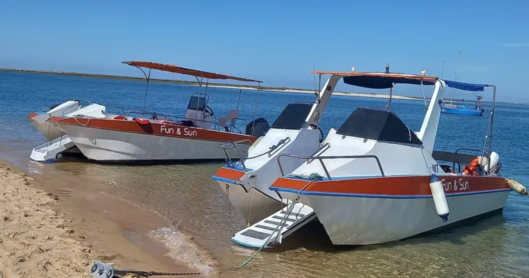 Two small boats beached on a sandy shore