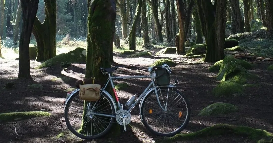 Monsanto Vintage Bike Tour