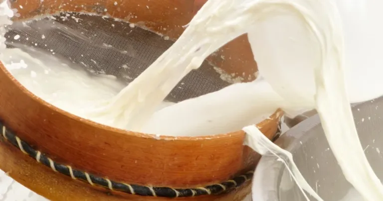 Fresh milk being poured into a cheese-making vessel