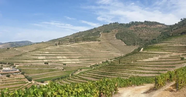 Douro Valley Bicycle tour