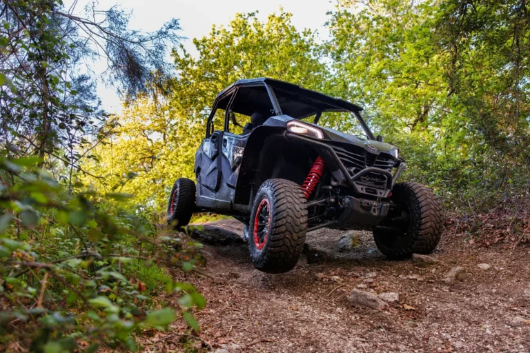 Buggy • 1h