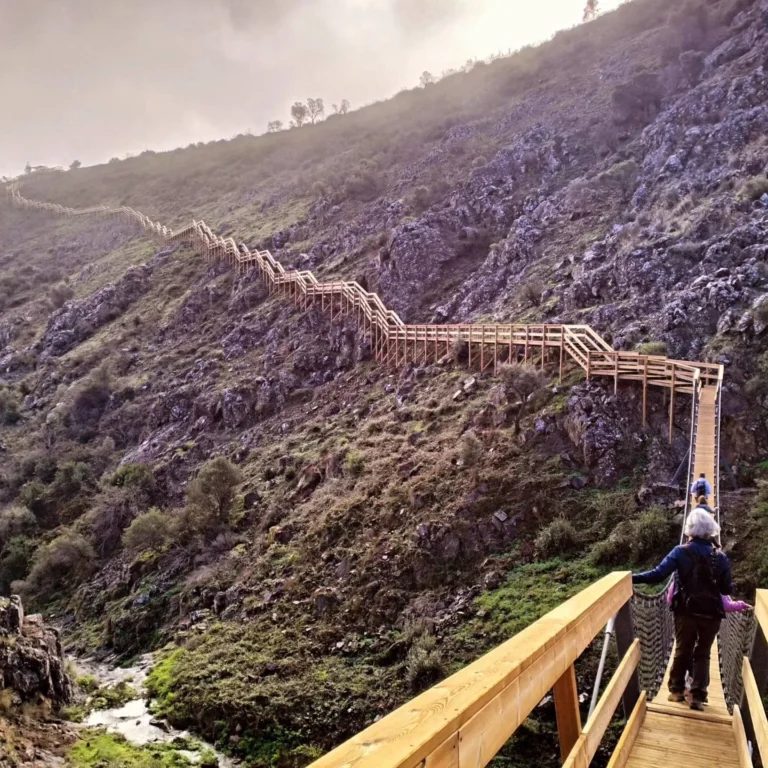 Monchique Walking Experience
