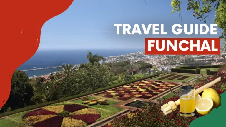 Video cover 'Travel guide Funchal' with botanical garden beds and a lemon drink