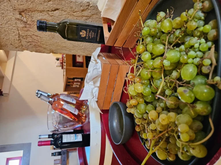 Historical Centre & Wine Tasting