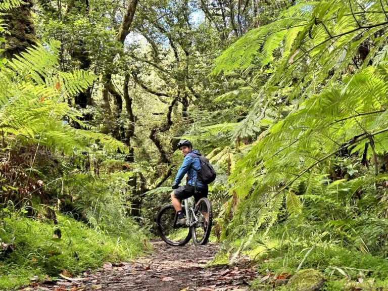 Easy Levada Mountain Bike Tour