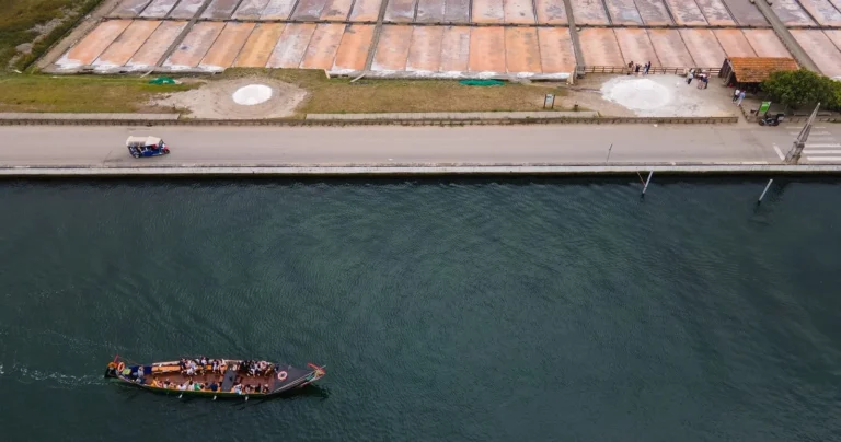 Passeio de Moliceiro e Visita Guiada às Salinas
