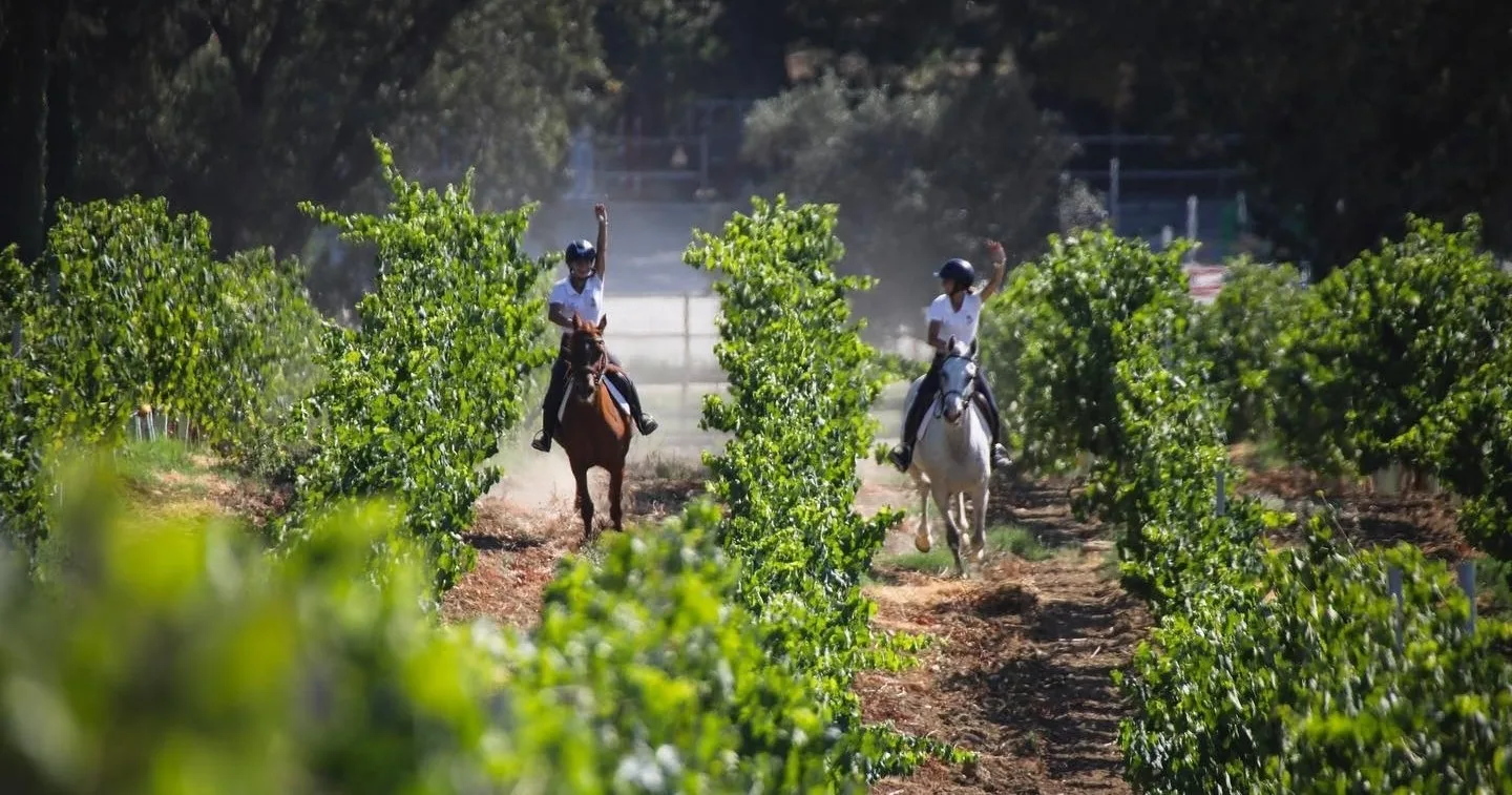 Prova de Vinhos Vertical com Passeio a Cavalo