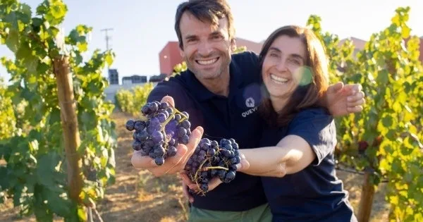 São João da Pesqueira Grape Harvest Tour