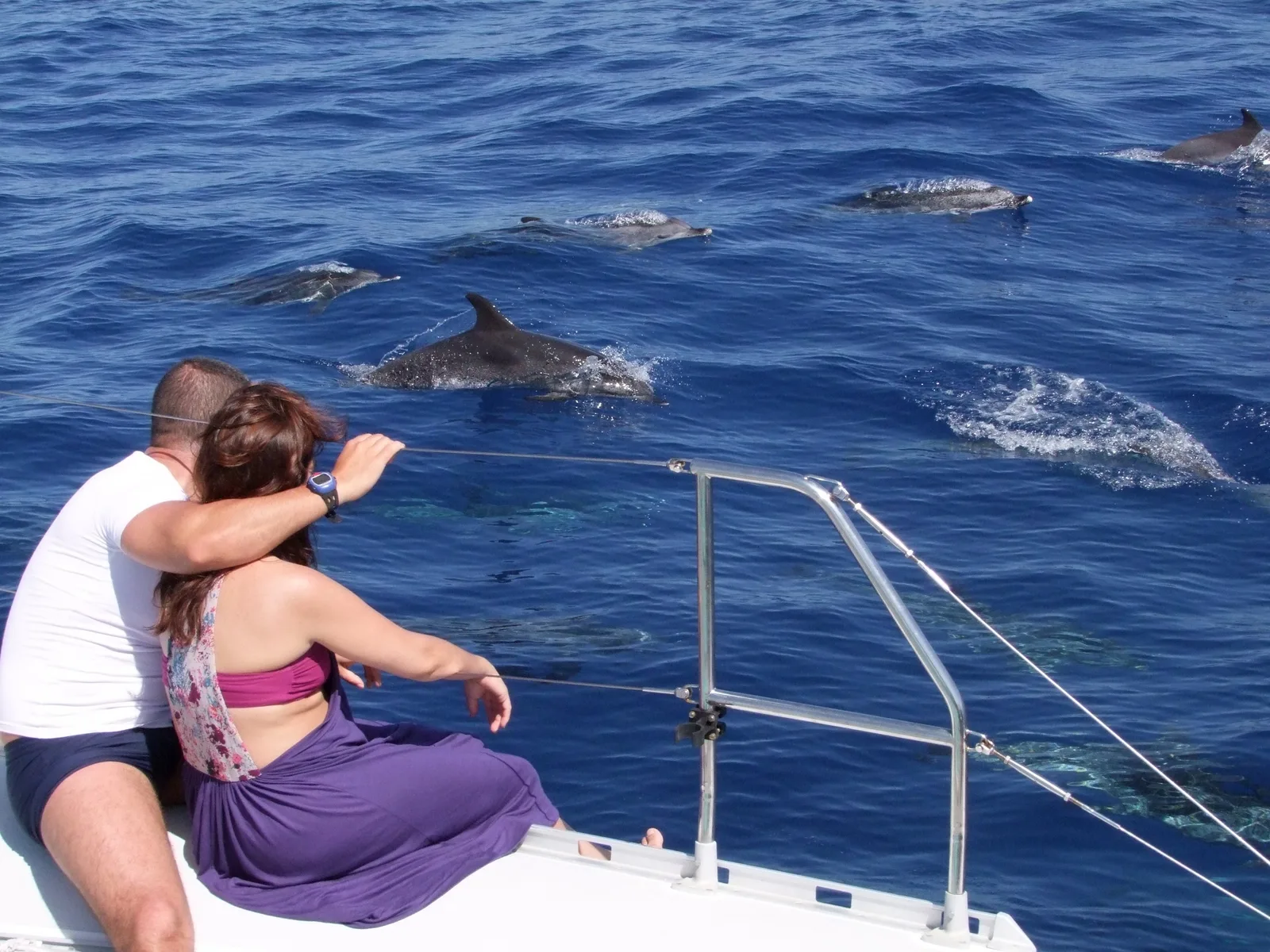 Nun's Valley, Skywalk & Câmara de Lobos + Dolphin Watching