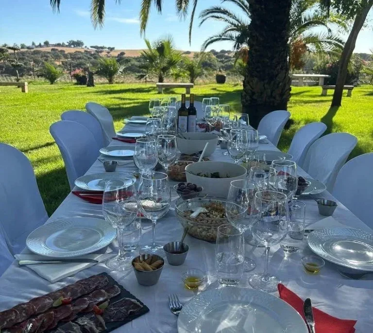 Sunset Wine Picnic in Évora Vineyards