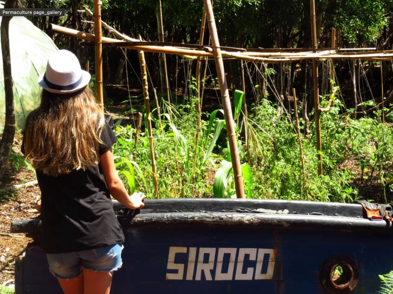 Faial Farmer for one day • Private