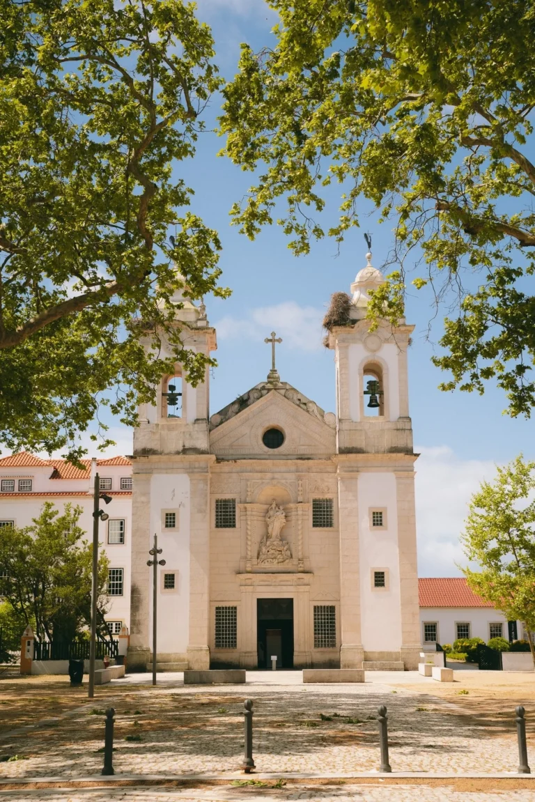 Experiência : Aveiro, Praias e Vista Alegre Museu