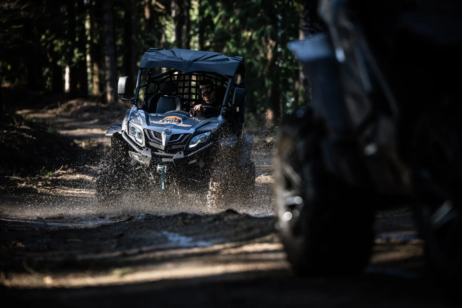 Buggy Tour