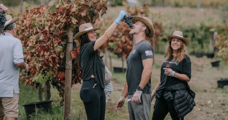 Grape Harvest Festival Day in the Minho