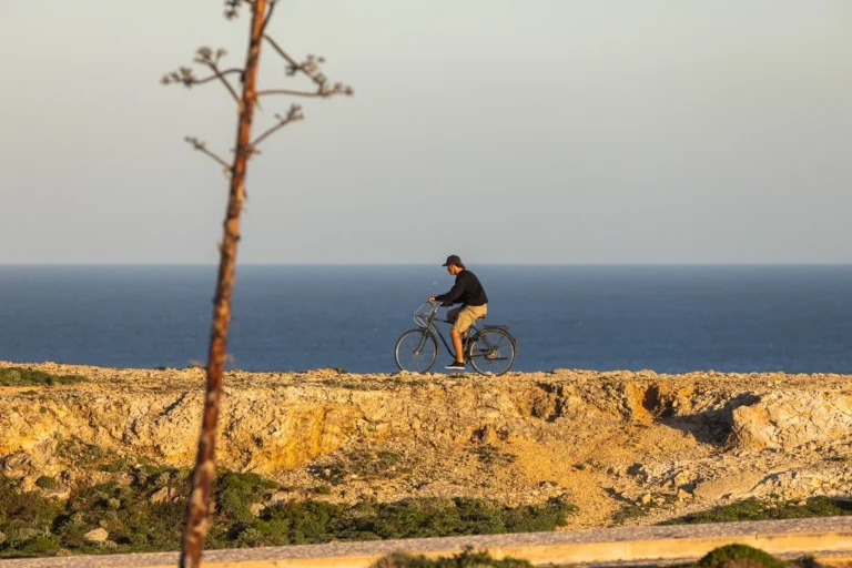 Coastal Trail E-Bike