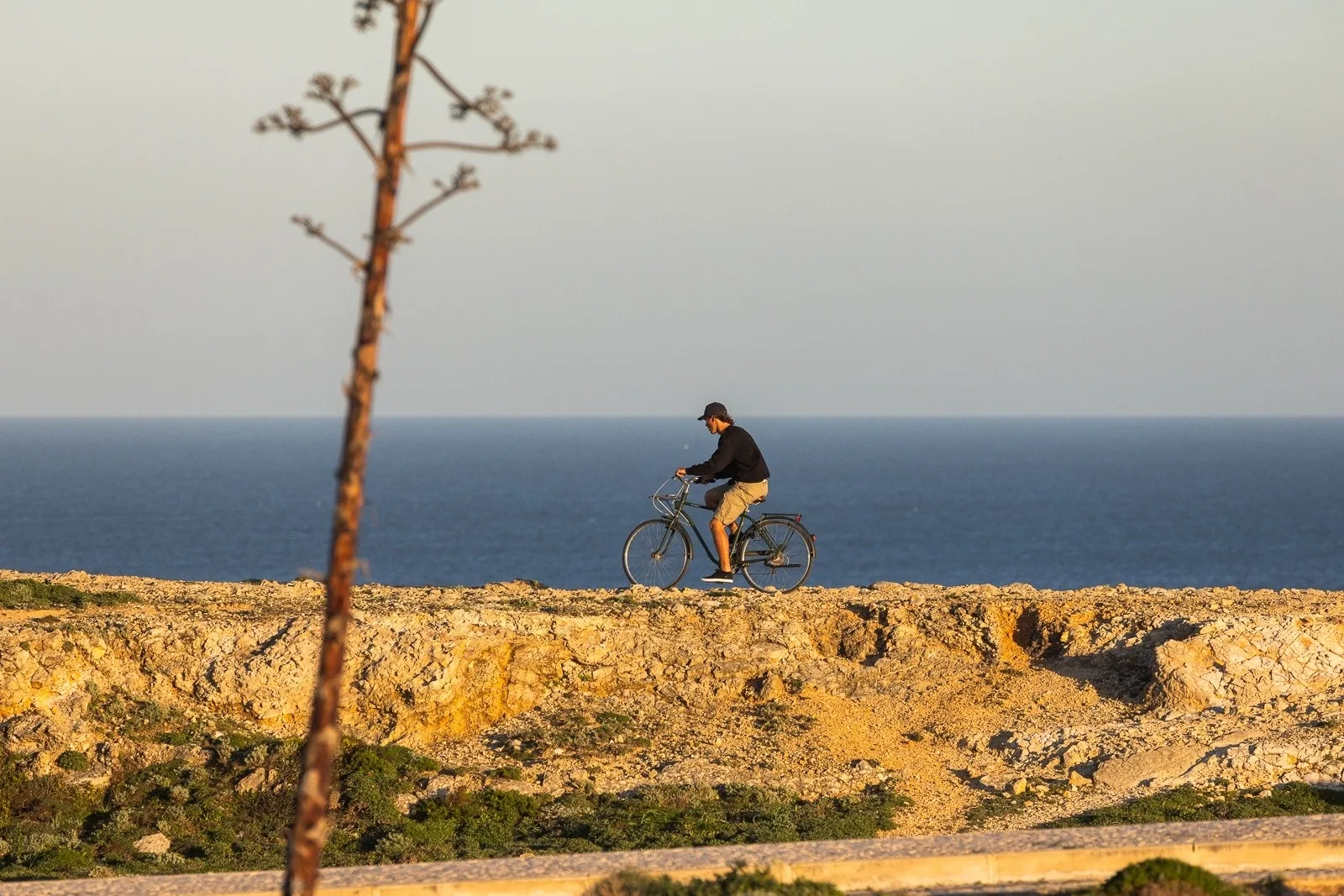 Coastal Trail E-Bike