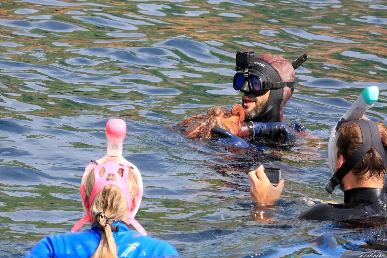 Mix Whale Watching + Snorkeling