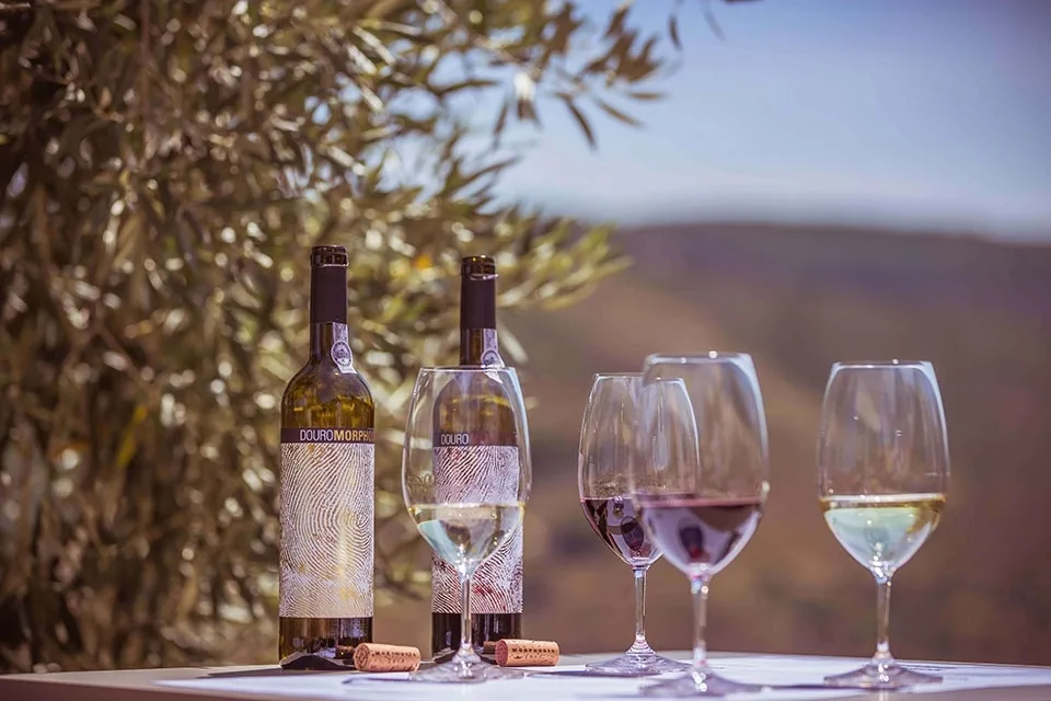 Wine Tasting