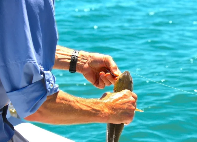Pesca Desportiva