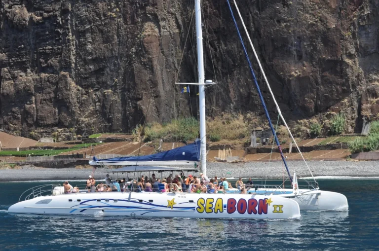 Seaborn catamaran dolphin and whale watching