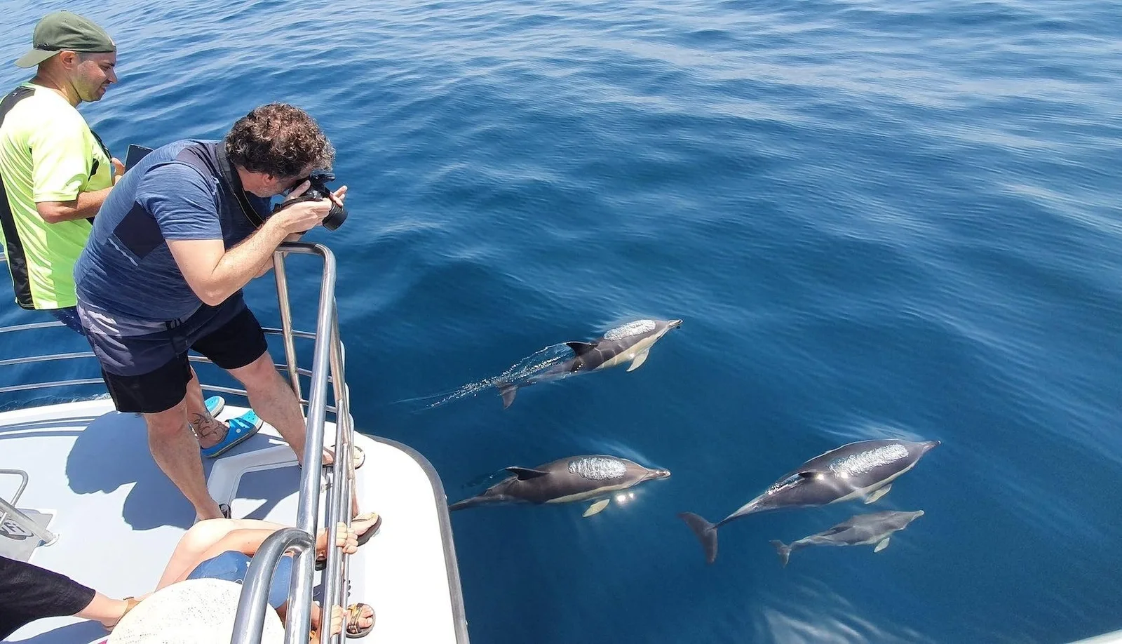 Dolphin Watching and Benagil Cave Tour - Dual Trip from Lagos