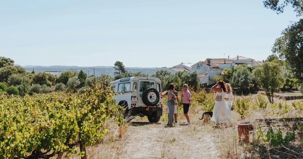 Tomar Vineyard Jeep Tour & Premium Wine Experience