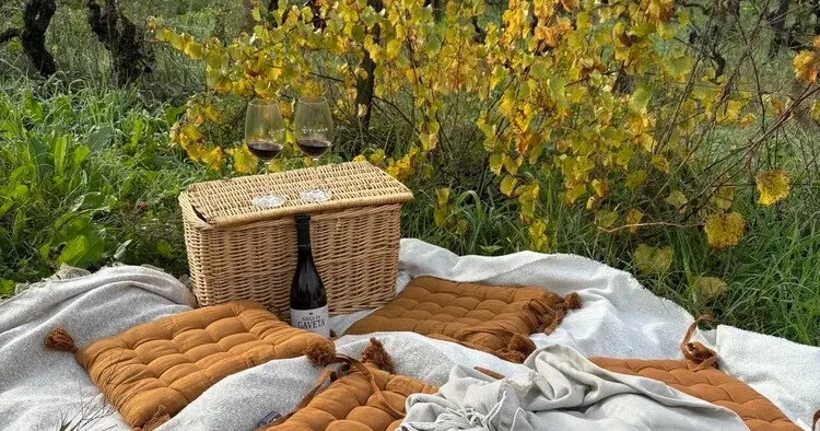 Romantic Vineyard Picnic in Tomar