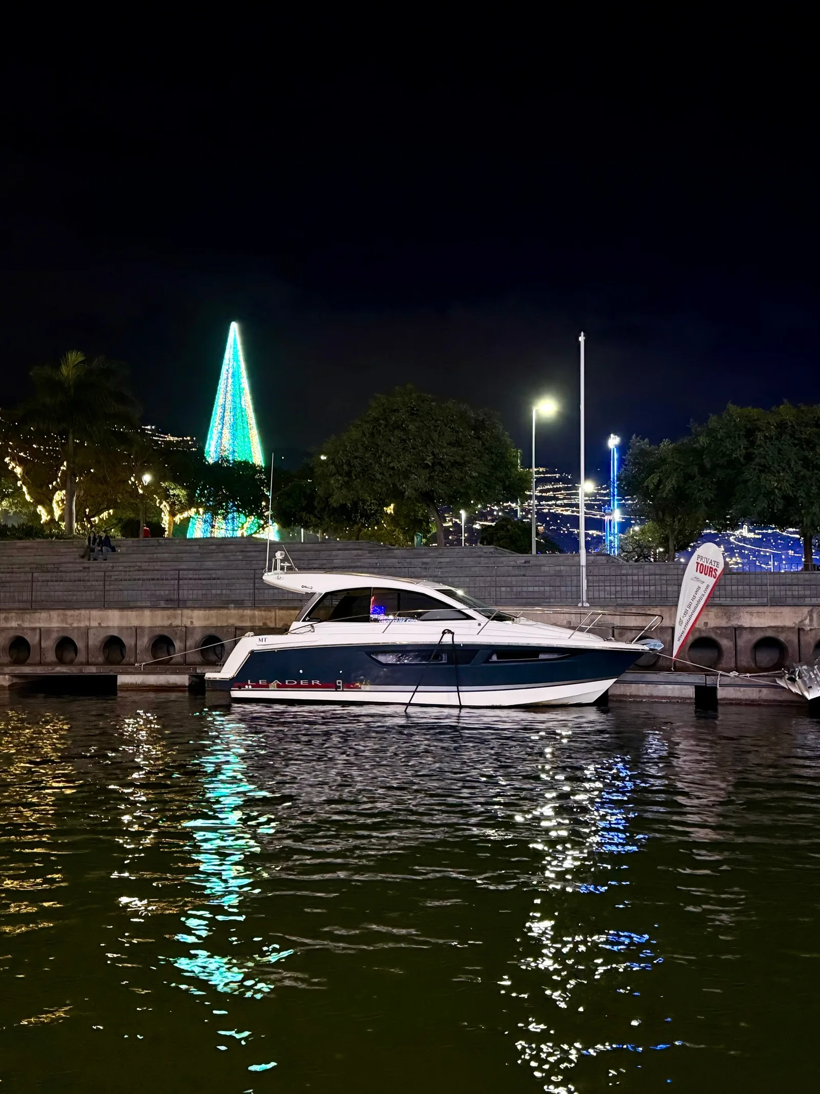 New Year's Eve celebration on the ocean 2026/2027