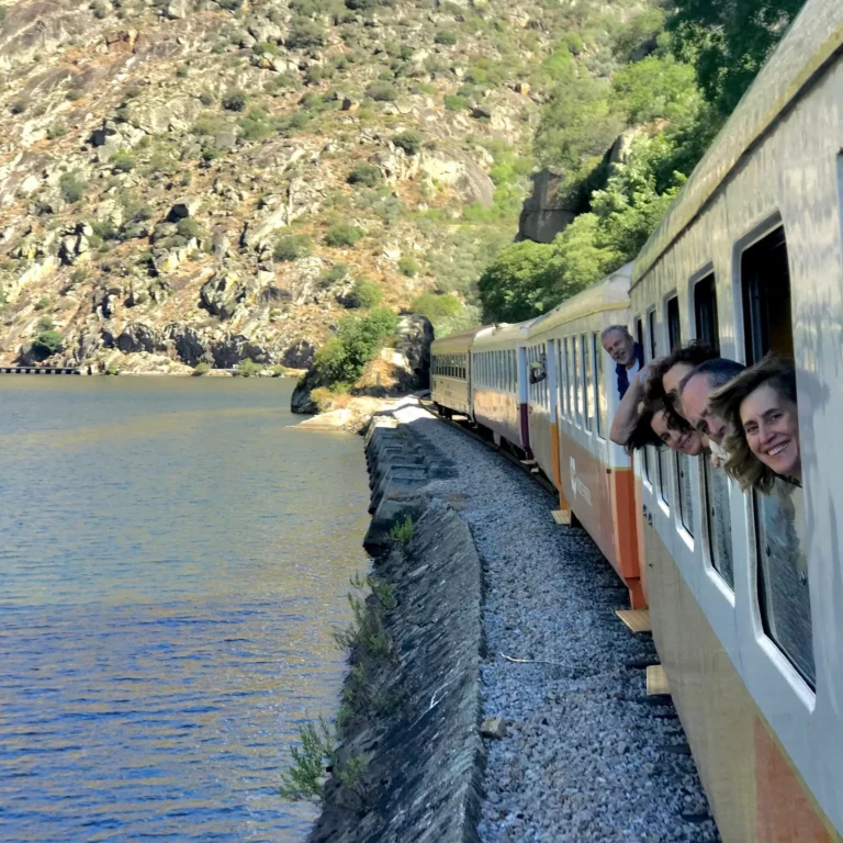 Douro Valley Cruise & Train