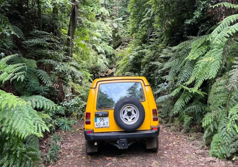 Câmara de Lobos and Madeira Wine