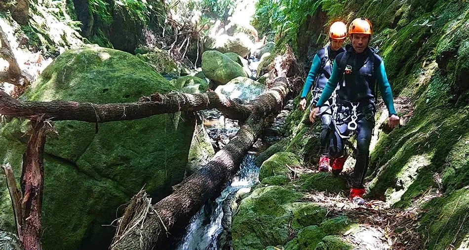 São Jorge Half-Day Evolution Canyoning • Private