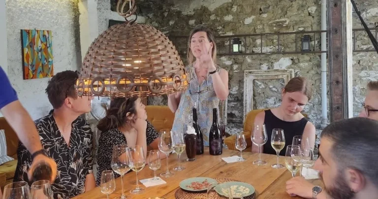 Douro Wine Tasting & Traditional Winery Experience