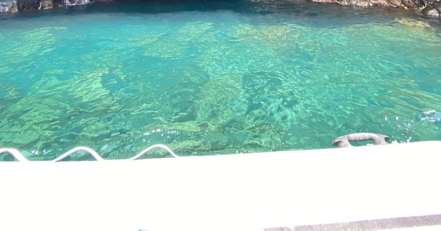 São Jorge Full-Day by Boat • Private • Call to Book!