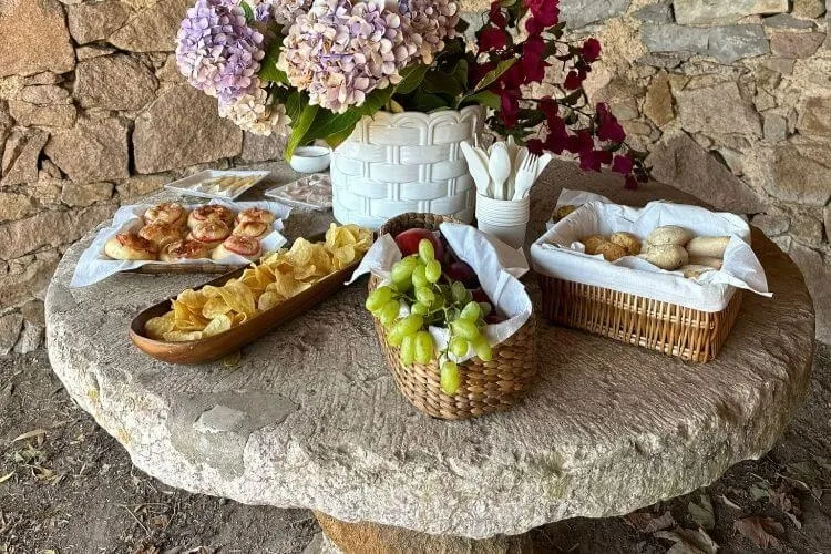 Picnic