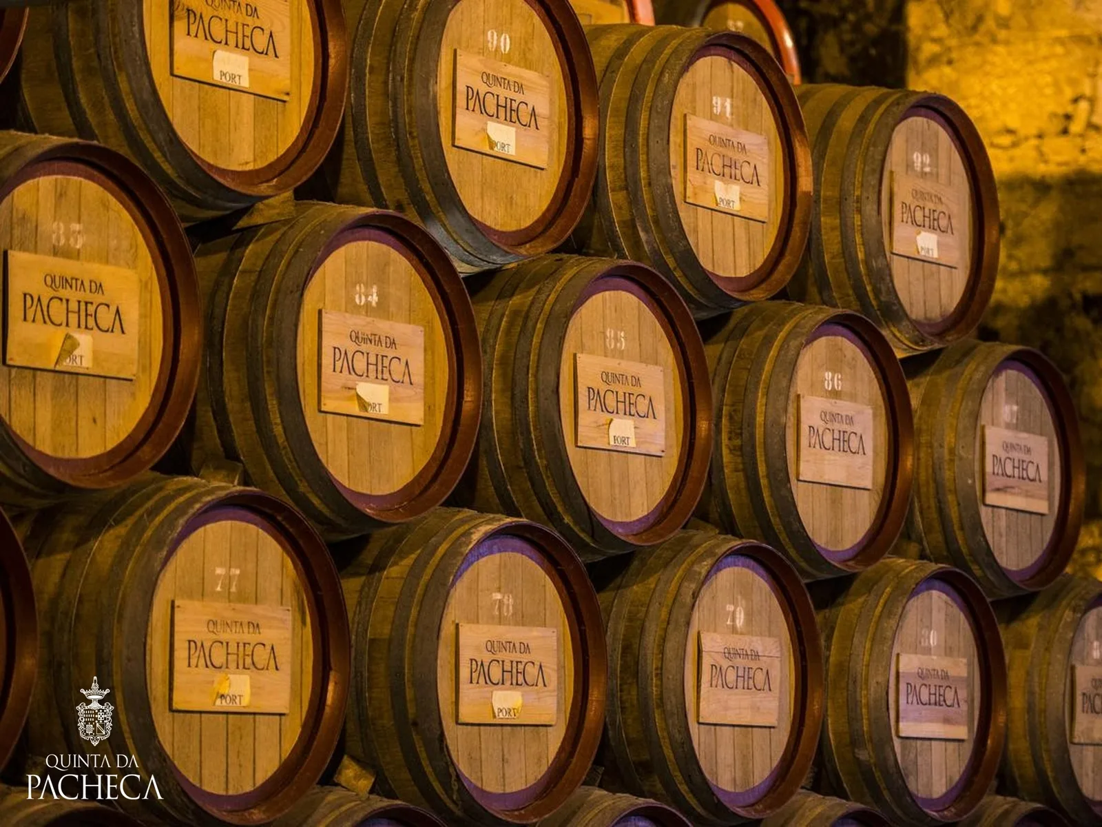 Hotel Guest | Wine facility discovery & Wine Tasting