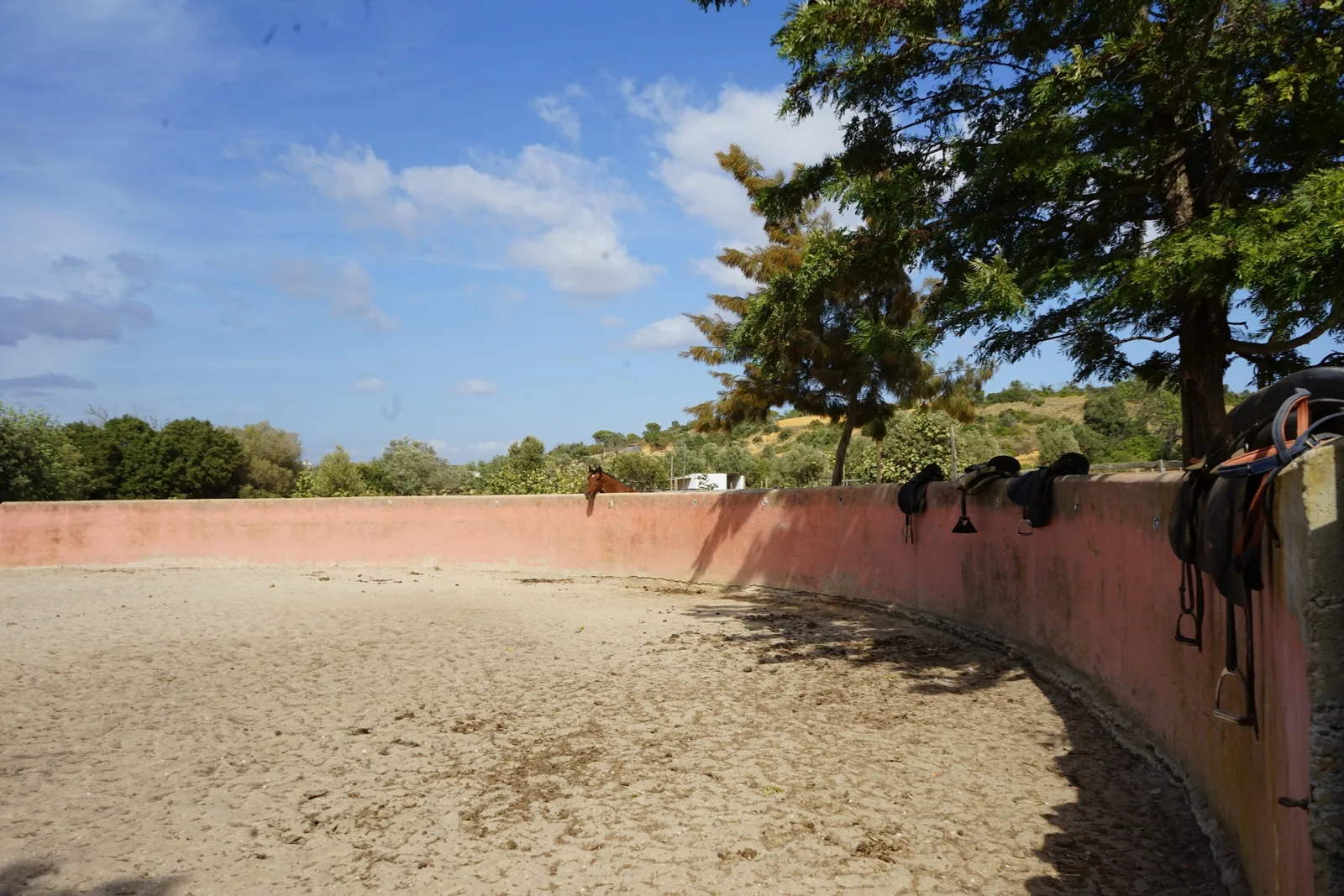 Passeio à Cavalo em GUIA - ALBUFEIRA