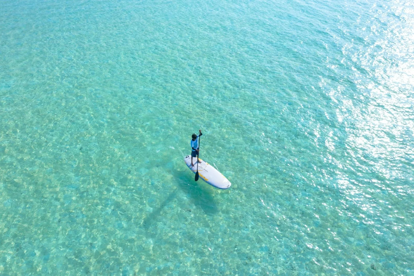 Paddle