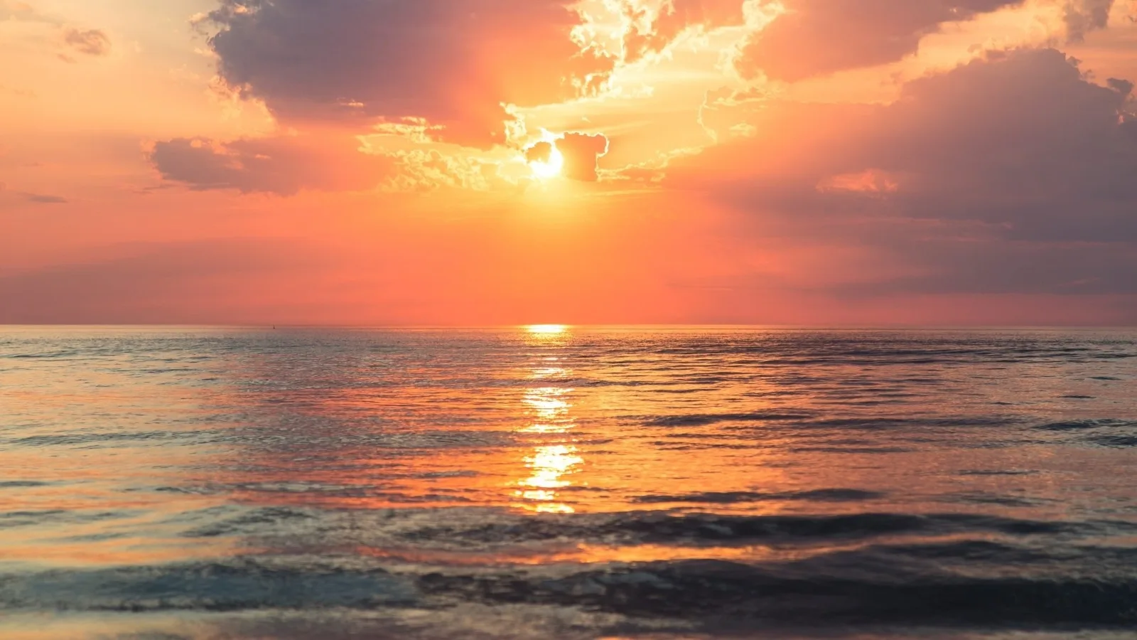 Algarve Golden Sunset Cruise • Coastal Bliss